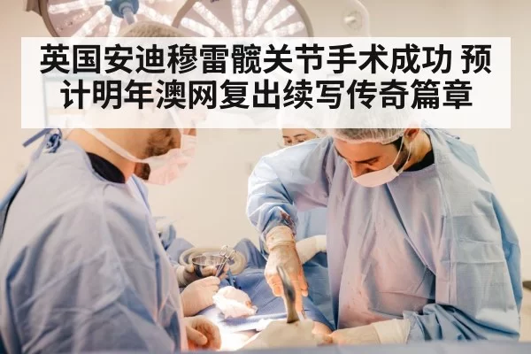 英国安迪穆雷髋关节手术成功 预计明年澳网复出续写传奇篇章