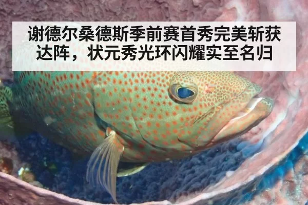 谢德尔桑德斯季前赛首秀完美斩获达阵,状元秀光环闪耀实至名归